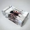 Hourglass Spider, Trap Door Spider in Resin