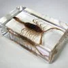 Real Scorpion in Resin, Yellow Scorpion Specimen