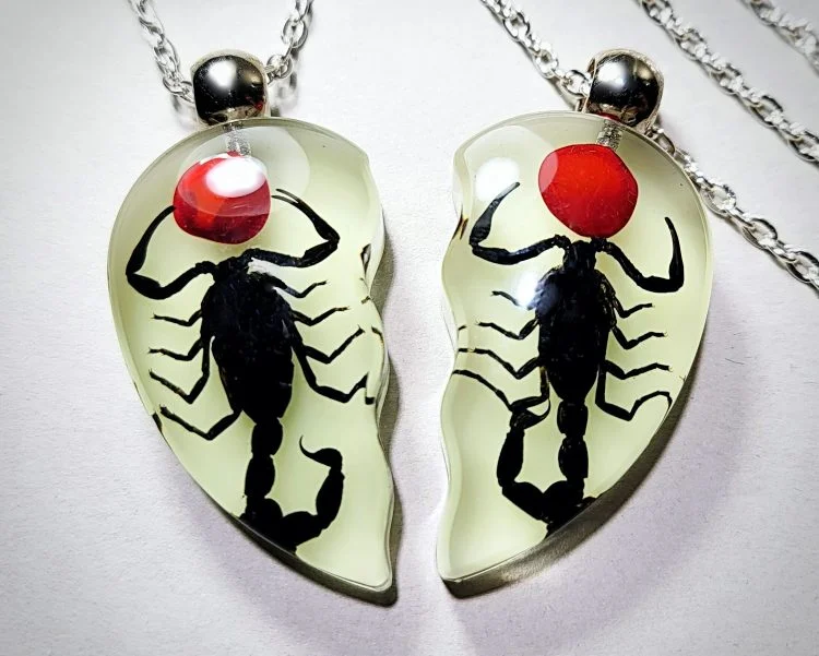 Glow-In-The-Dark Scorpion Necklace Set, Real Scorpions Necklace