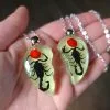 Glow-In-The-Dark Scorpion Necklace Set, Real Scorpions Necklace
