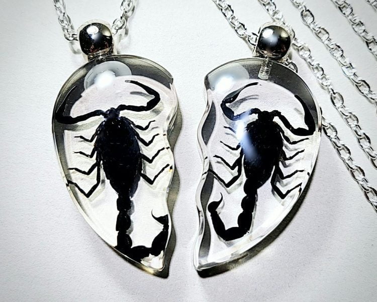 Real Insect Jewelry, Scorpion Friendship Necklace Set