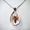 Real Insect Jewelry, Real Spider Pendant Necklace