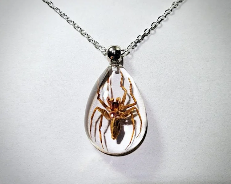 Real Insect Jewelry, Real Spider Pendant Necklace