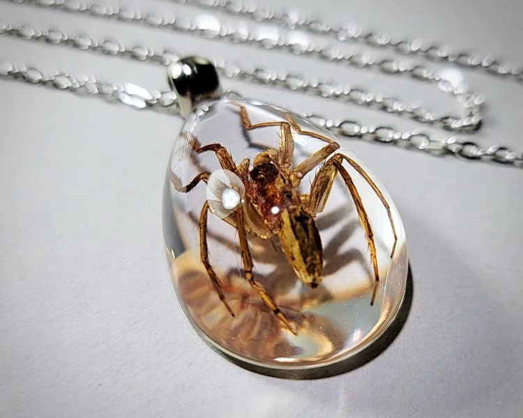 Real Insect Jewelry, Real Spider Pendant Necklace