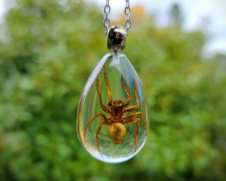 Real Insect Jewelry, Real Spider Necklace, Insect Gifts, Gothic Jewelry