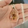 Real Insect Jewelry, Real Spider Pendant Necklace