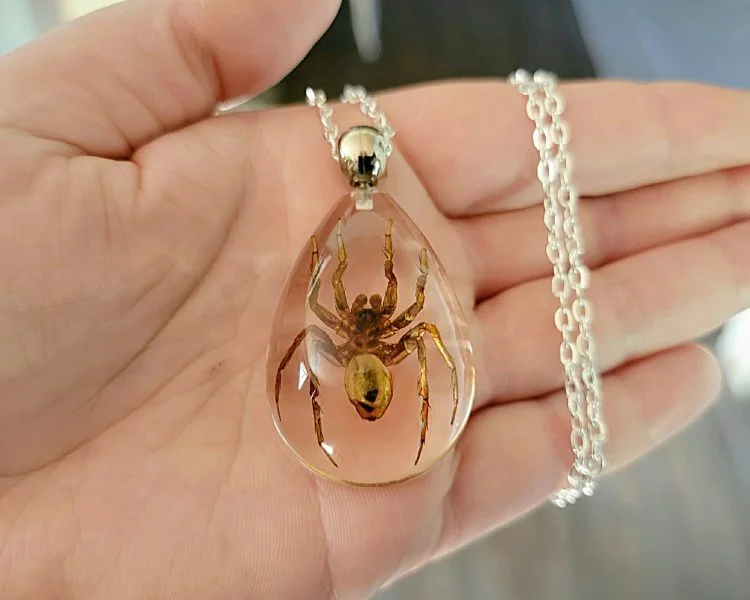 Real Insect Jewelry, Real Spider Pendant Necklace