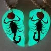 Glow-In-The-Dark Scorpion Necklace Set, Real Scorpions Necklace