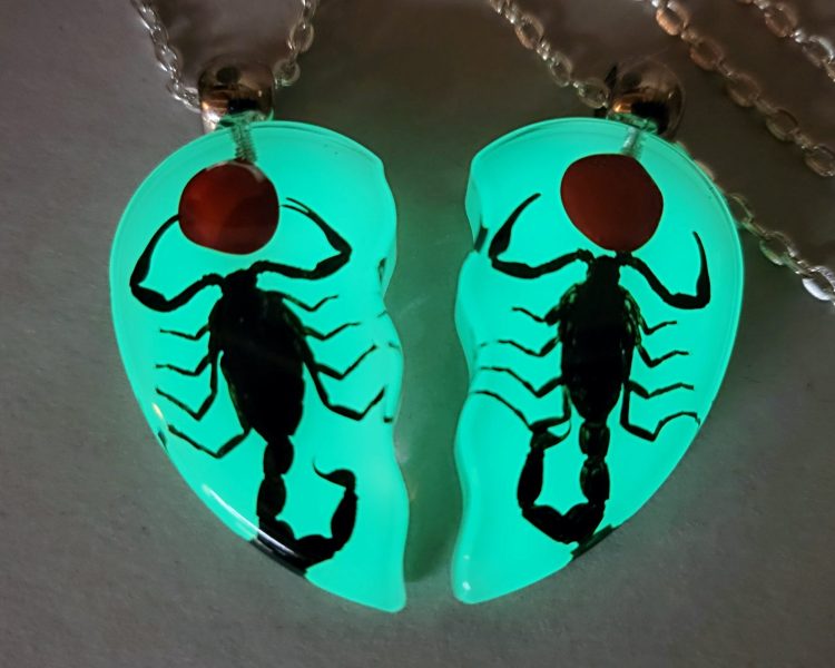 Glow-In-The-Dark Scorpion Necklace Set, Real Scorpions Necklace