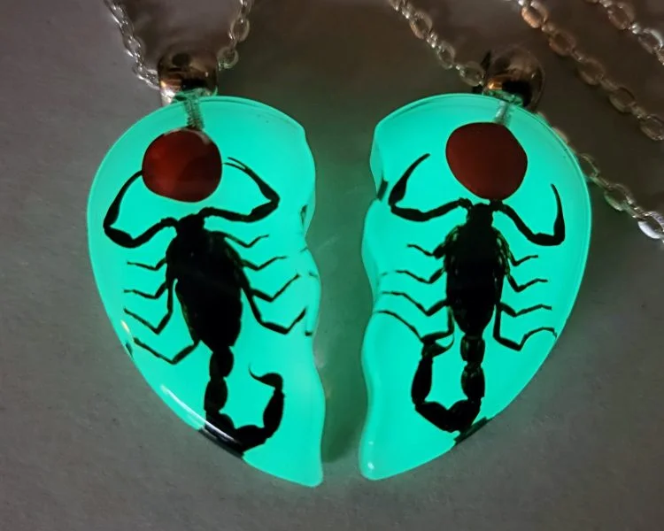 Glow-In-The-Dark Scorpion Necklace Set, Real Scorpions Necklace