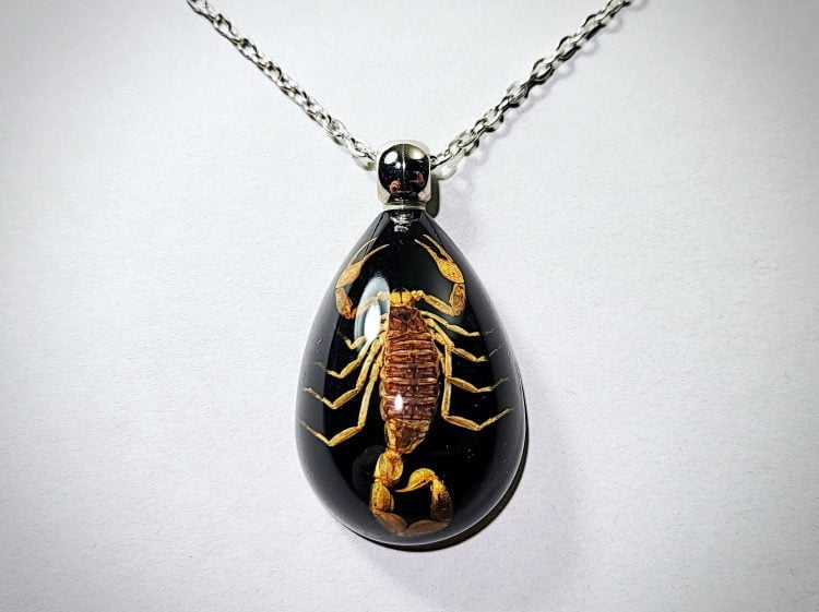 Real Insect Jewelry, Real Scorpion Pendant Necklace