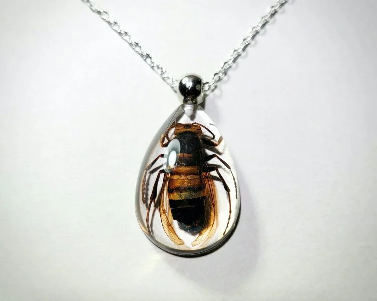 Real Insect Jewelry,Murder Hornet Necklace, Bug Necklace