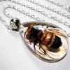 Real Insect Jewelry,Murder Hornet Necklace, Bug Necklace