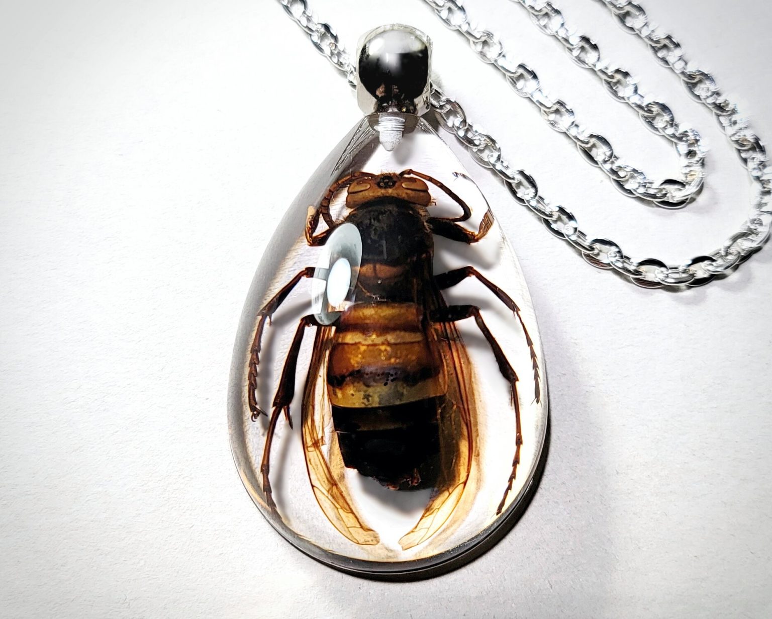 Necklace, Real Insect Jewelry Insects In Resin