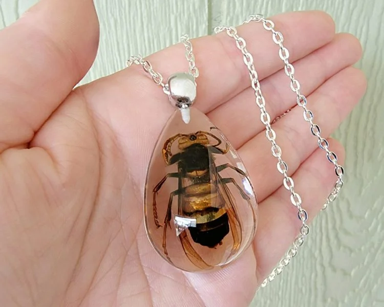 Real Insect Jewelry,Murder Hornet Necklace, Bug Necklace