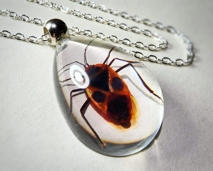 Real Insect Jewelry, Bug Necklace Wholesale