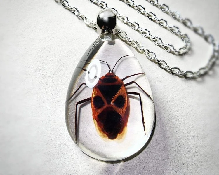 Real Insect Jewelry, Bug Necklace Wholesale