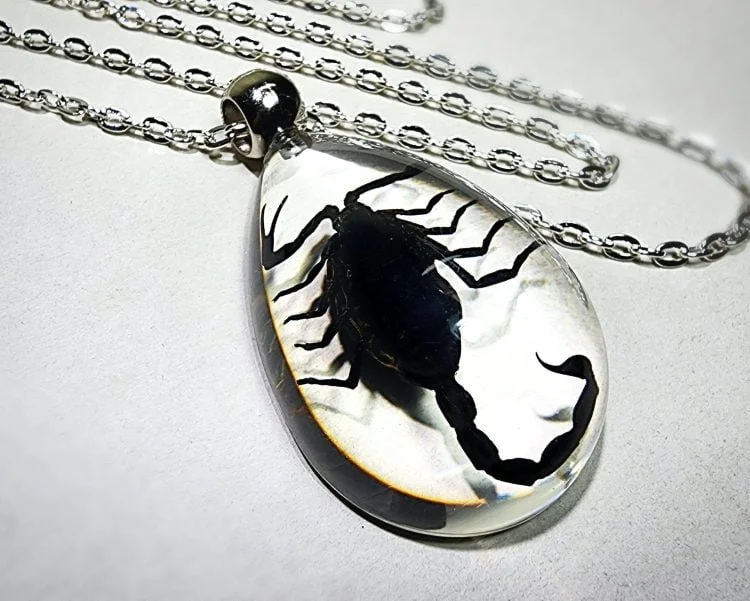 Real insect jewelry, Black Scorpion Necklace, Wholesale insect Jewelry