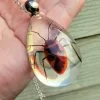 Real Insect Jewelry, Bug Necklace Wholesale