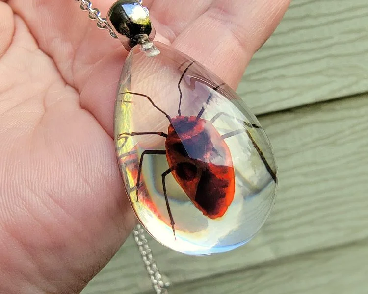 Real Insect Jewelry, Bug Necklace Wholesale