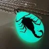 Real Insect Jewelry, Glow-In-The-Dark Scorpion Necklace, Wholesale bug jewelry