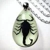 Real Insect Jewelry, Glow-In-The-Dark Scorpion Necklace, Wholesale bug jewelry