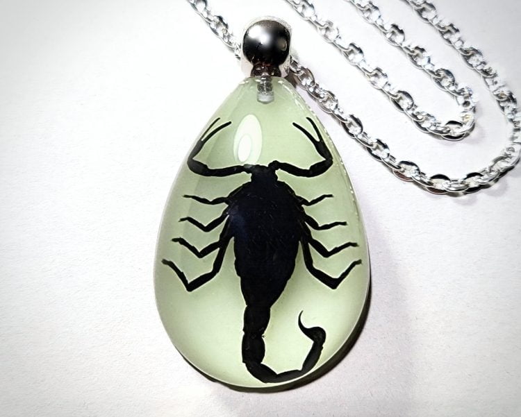 Real Insect Jewelry, Glow-In-The-Dark Scorpion Necklace, Wholesale bug jewelry