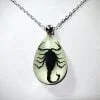 Real Insect Jewelry, Glow-In-The-Dark Scorpion Necklace, Wholesale bug jewelry