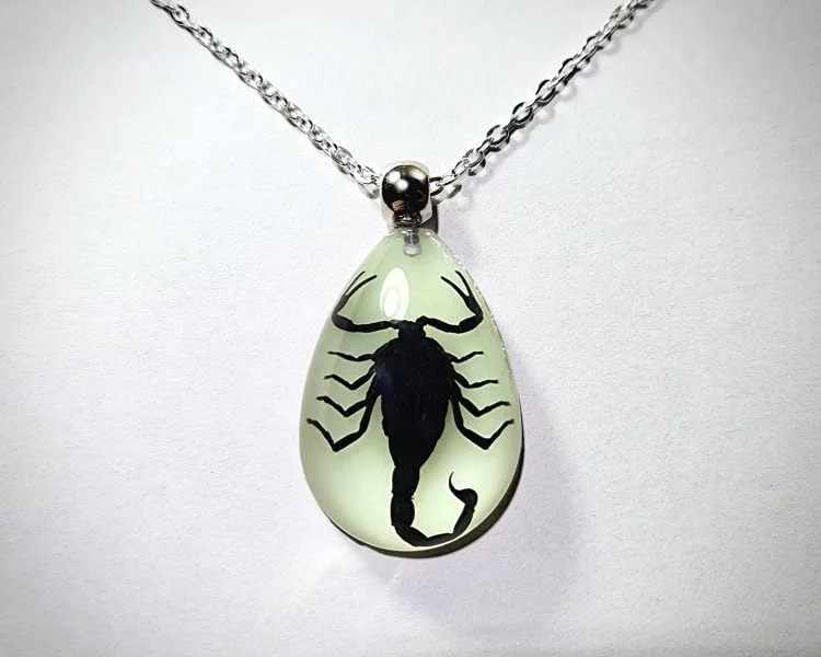 Real Insect Jewelry, Glow-In-The-Dark Scorpion Necklace, Wholesale bug jewelry