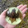 Real bat in Resin, Glow-In-the-Dark-Bat Paperweight. Oddities Decor