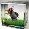 Real Insect Diorama, Bugs In Resin Display, Insect Gifts