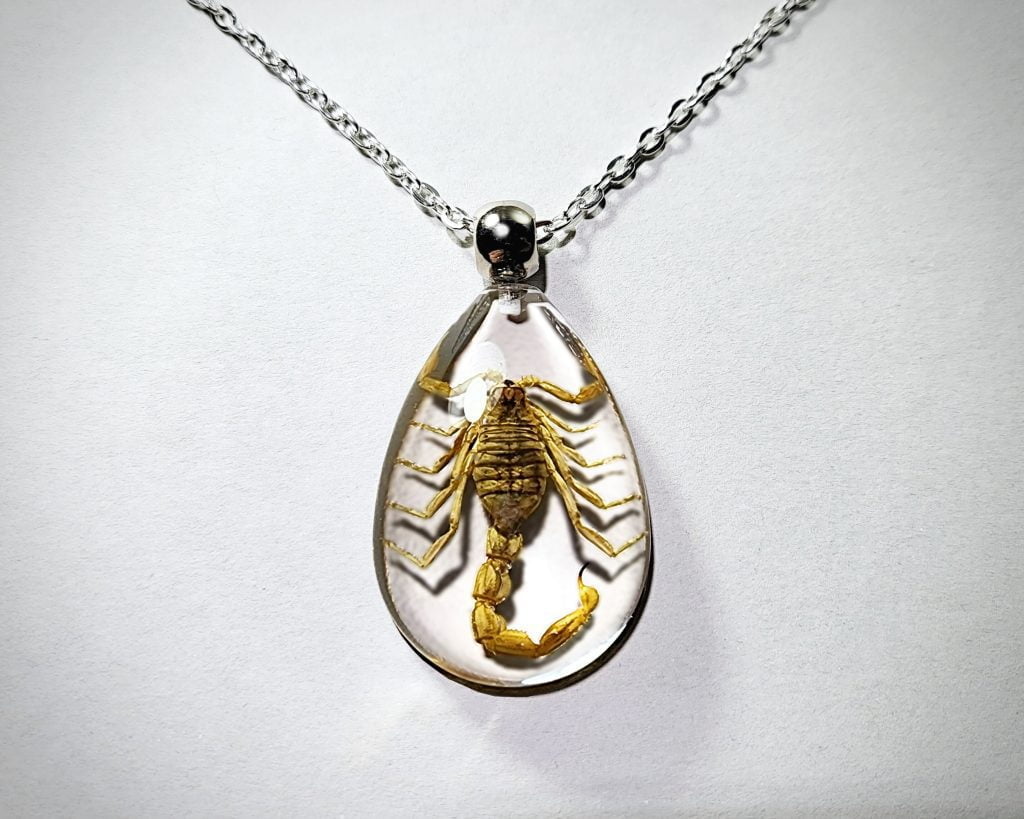 Yellow Scorpion Necklace, Real Insect Jewelry - Insects In Resin Yellow Scorpion Necklace, Real Insect Jewelry - Insects In Resin