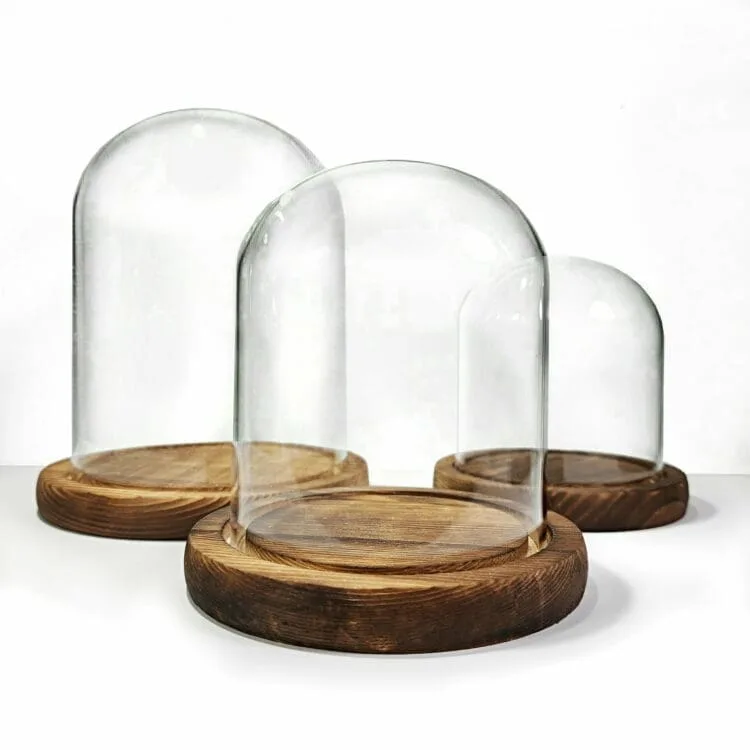 Glass Display Dome, Glass Cloche, Glass Dome for Oddities, Oddities display.