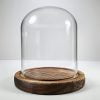 Glass Display Dome, Display For Taxidermy Ducklings, Cloche Oddities Display