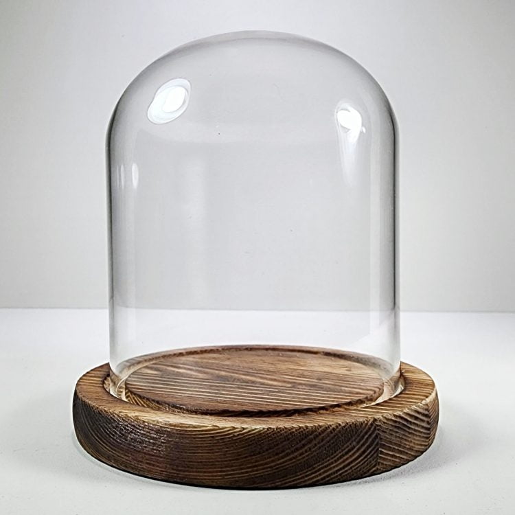 Glass Display Dome, Display For Taxidermy Ducklings, Cloche Oddities Display