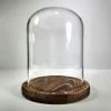 Glass Display Dome, Display For Taxidermy Ducklings, Cloche Oddities Display