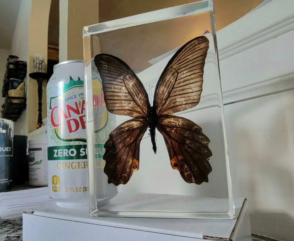 Image #1 from Michelle Anderson