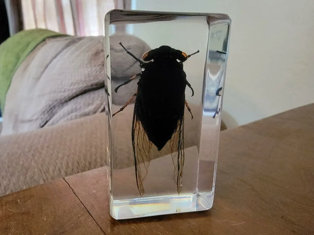 Image #1 from Michelle Anderson