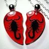 Real Insect Jewelry, Wholesale Resin Insect Jewelry, Oddities Gifts, Friendship Necklace