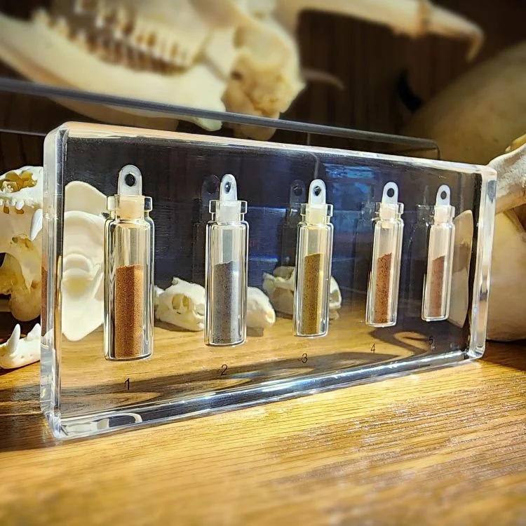 Curio Cabinet, Oddities Gifts, Soil Samples in Resin, Wholesale Oddities