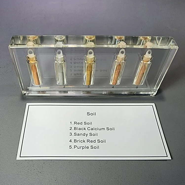Curio Cabinet, Oddities Gifts, Soil Samples in Resin