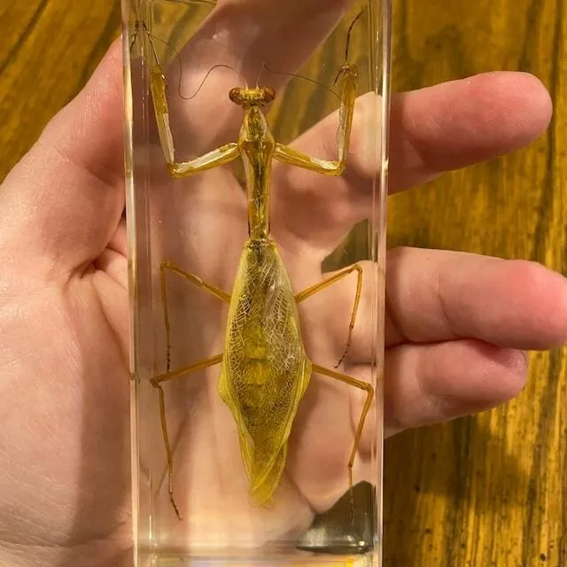 Image #1 from Dale Gagne