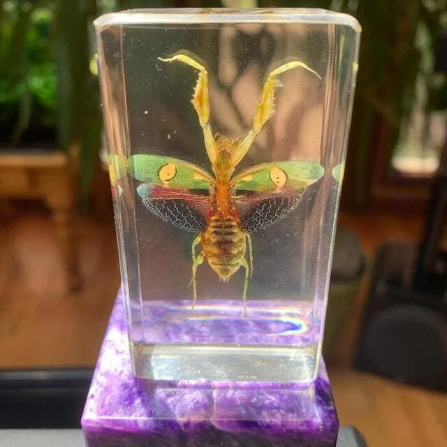 Image #1 from Bill McIntosh