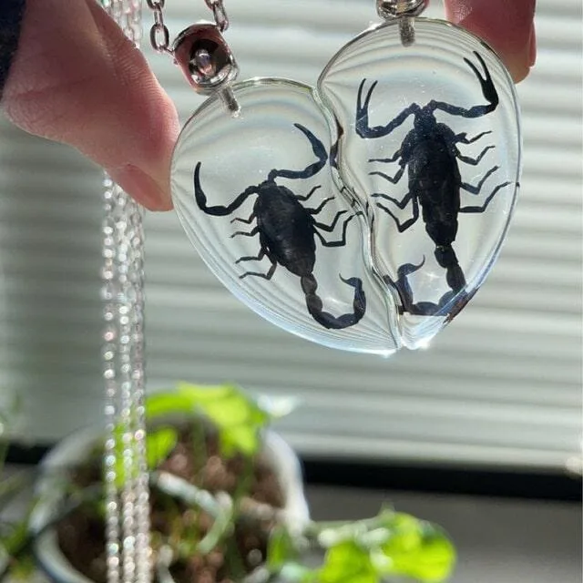 Image #1 from morgan