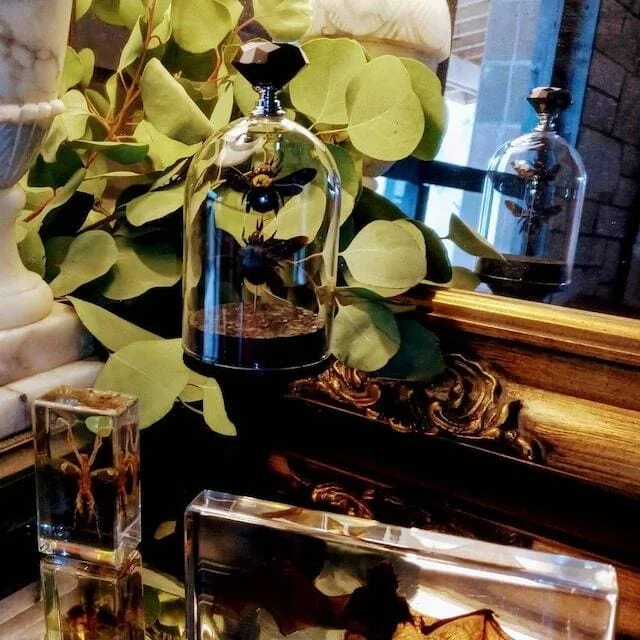 Image #1 from Dorcie Fox