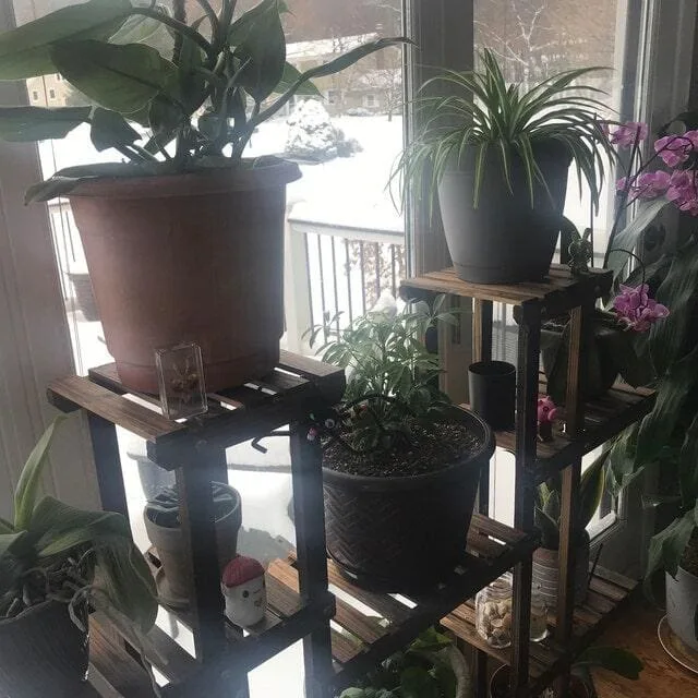 Image #1 from LCeccacci