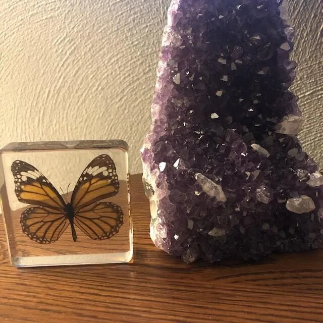 Image #1 from Addison Kerns