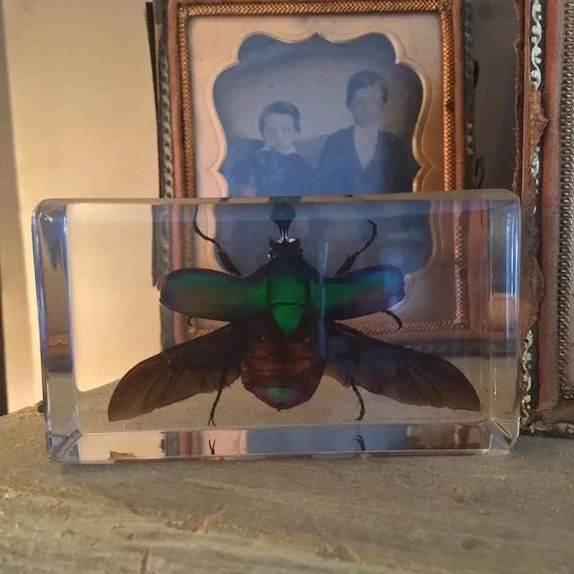 Image #1 from maddyschallehn