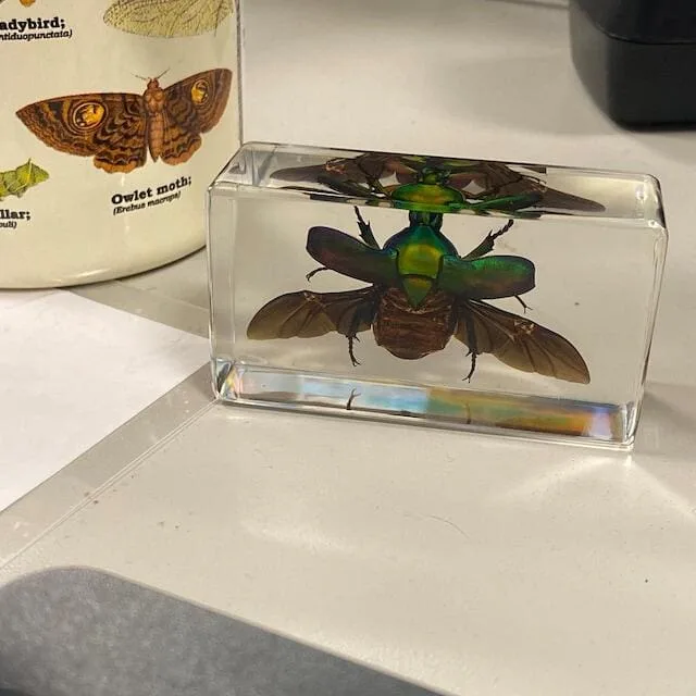 Image #1 from Allie Udo