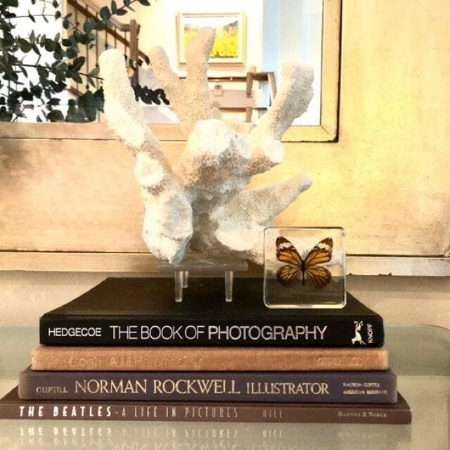 Image #1 from Sheridan Schulte